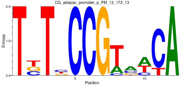 CG_adsipsc_promoter_p_PM_12_172_13