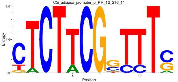 CG_adsipsc_promoter_p_PM_12_216_11