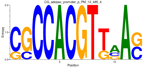 CG_adsipsc_promoter_p_PM_12_485_4