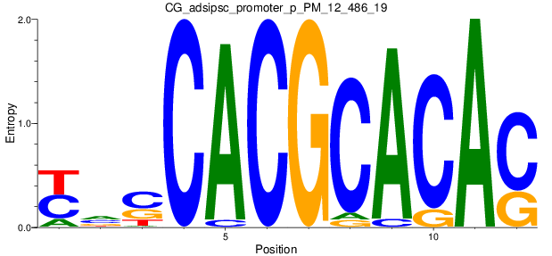 CG_adsipsc_promoter_p_PM_12_486_19