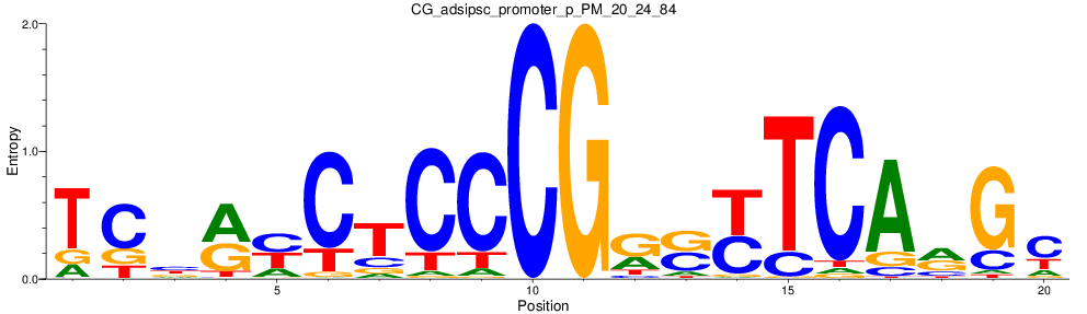 CG_adsipsc_promoter_p_PM_20_24_84
