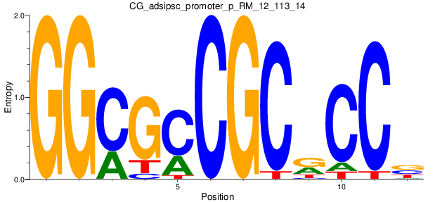 CG_adsipsc_promoter_p_RM_12_113_14
