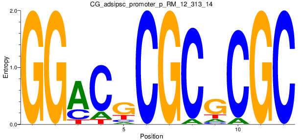 CG_adsipsc_promoter_p_RM_12_313_14