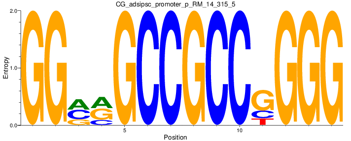 CG_adsipsc_promoter_p_RM_14_315_5