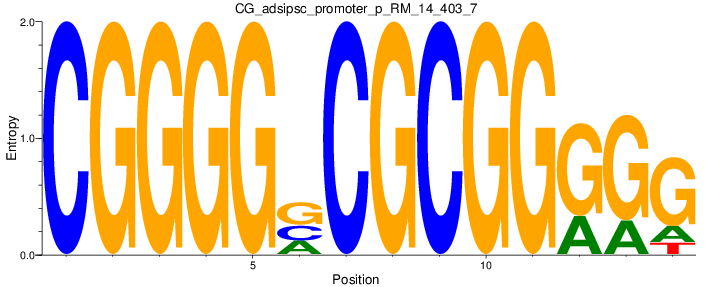CG_adsipsc_promoter_p_RM_14_403_7