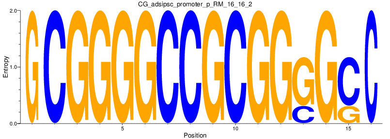 CG_adsipsc_promoter_p_RM_16_16_2