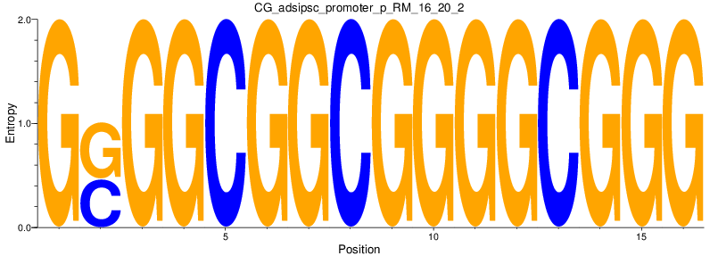 CG_adsipsc_promoter_p_RM_16_20_2