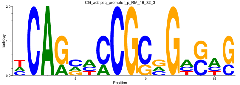 CG_adsipsc_promoter_p_RM_16_32_3