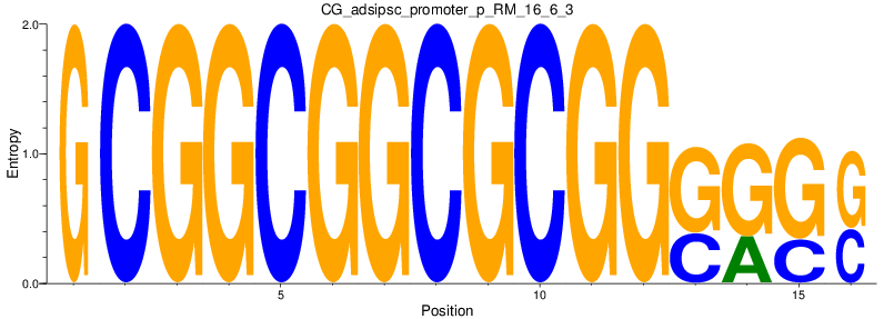 CG_adsipsc_promoter_p_RM_16_6_3