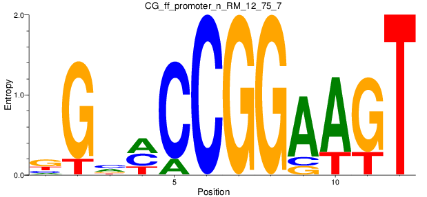 CG_ff_promoter_n_RM_12_75_7