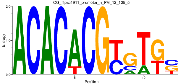 CG_ffipsc1911_promoter_n_PM_12_125_5