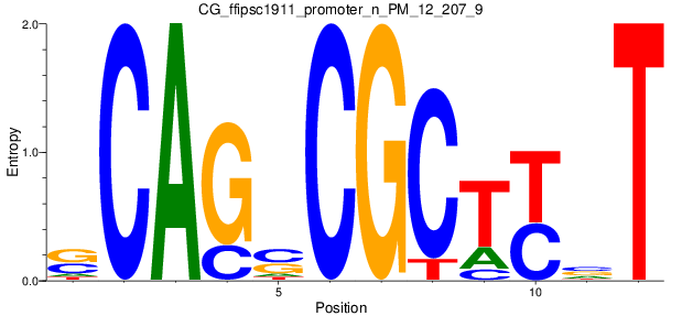 CG_ffipsc1911_promoter_n_PM_12_207_9