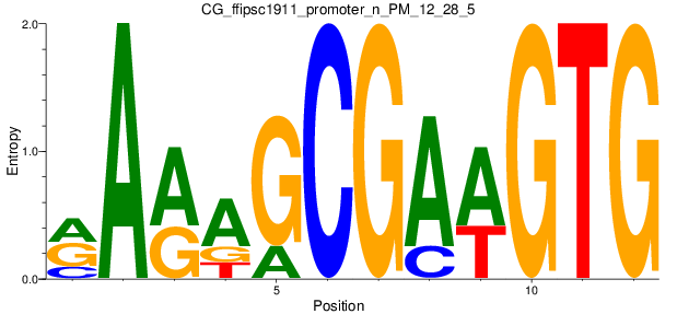 CG_ffipsc1911_promoter_n_PM_12_28_5