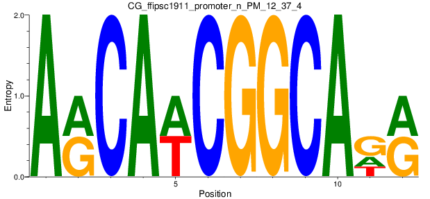 CG_ffipsc1911_promoter_n_PM_12_37_4