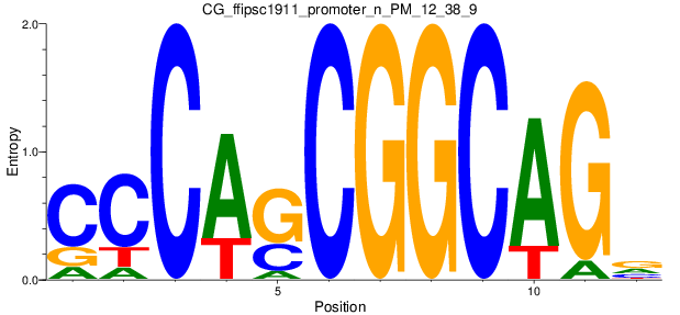 CG_ffipsc1911_promoter_n_PM_12_38_9