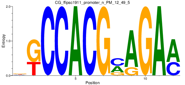 CG_ffipsc1911_promoter_n_PM_12_49_5