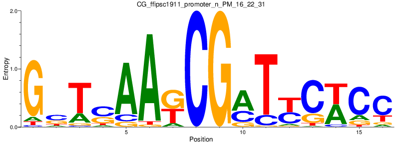 CG_ffipsc1911_promoter_n_PM_16_22_31