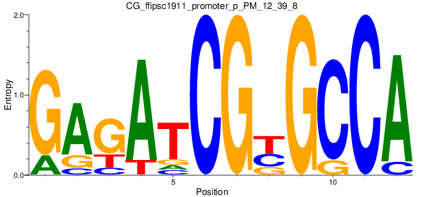 CG_ffipsc1911_promoter_p_PM_12_39_8