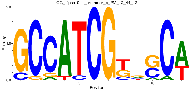 CG_ffipsc1911_promoter_p_PM_12_44_13