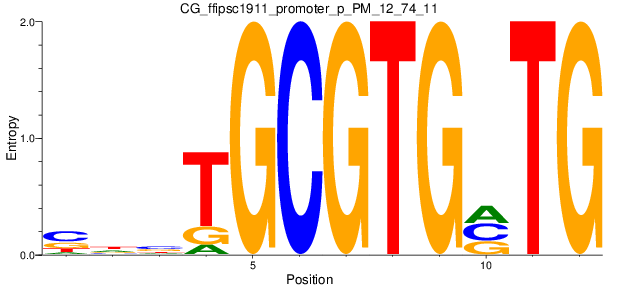 CG_ffipsc1911_promoter_p_PM_12_74_11