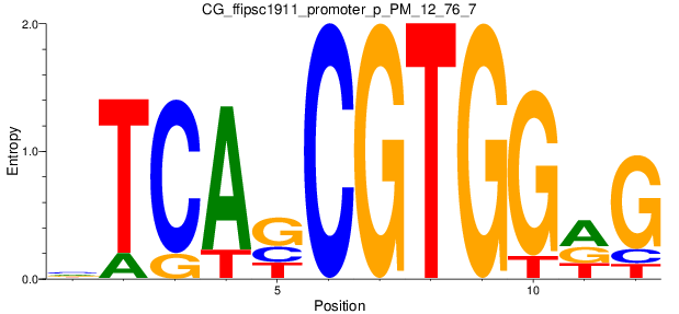 CG_ffipsc1911_promoter_p_PM_12_76_7