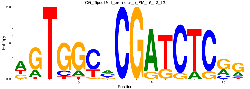 CG_ffipsc1911_promoter_p_PM_16_12_12