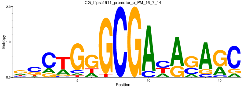 CG_ffipsc1911_promoter_p_PM_16_7_14