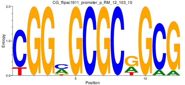 CG_ffipsc1911_promoter_p_RM_12_103_10