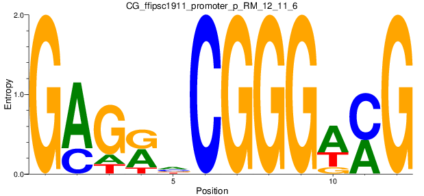 CG_ffipsc1911_promoter_p_RM_12_11_6