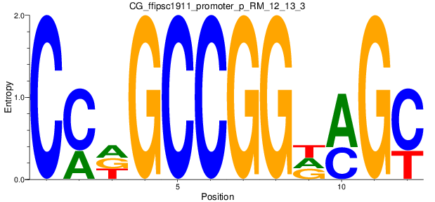 CG_ffipsc1911_promoter_p_RM_12_13_3