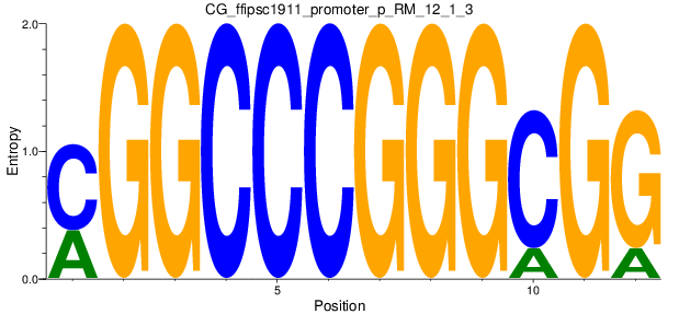 CG_ffipsc1911_promoter_p_RM_12_1_3
