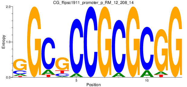 CG_ffipsc1911_promoter_p_RM_12_208_14