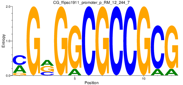 CG_ffipsc1911_promoter_p_RM_12_244_7