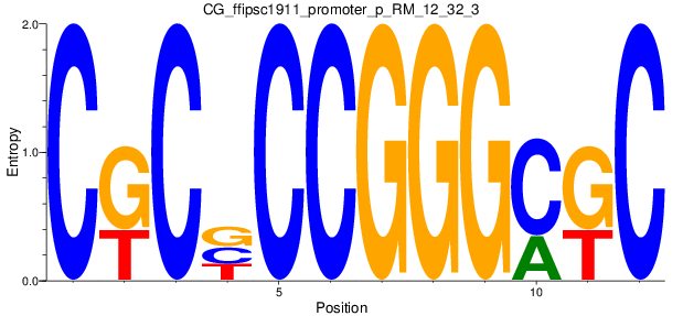 CG_ffipsc1911_promoter_p_RM_12_32_3