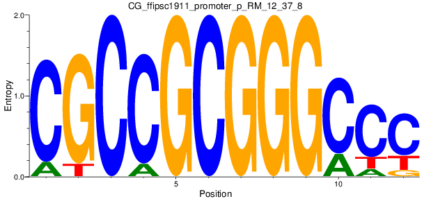 CG_ffipsc1911_promoter_p_RM_12_37_8