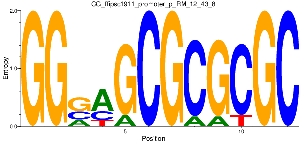 CG_ffipsc1911_promoter_p_RM_12_43_8