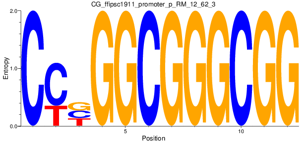 CG_ffipsc1911_promoter_p_RM_12_62_3