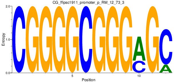 CG_ffipsc1911_promoter_p_RM_12_73_3