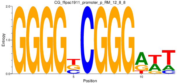 CG_ffipsc1911_promoter_p_RM_12_8_8