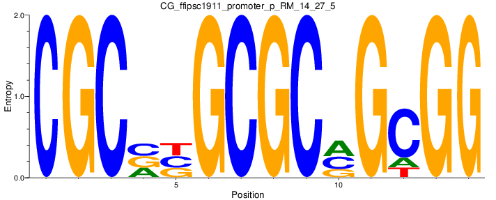 CG_ffipsc1911_promoter_p_RM_14_27_5