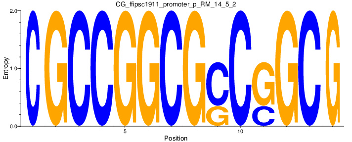 CG_ffipsc1911_promoter_p_RM_14_5_2