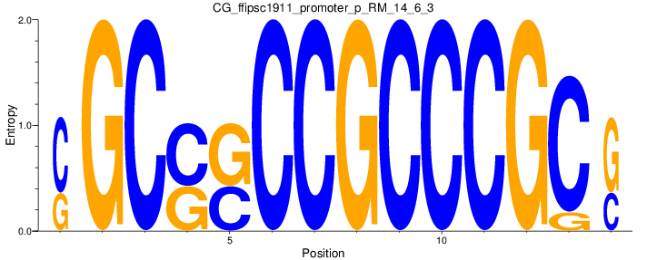 CG_ffipsc1911_promoter_p_RM_14_6_3