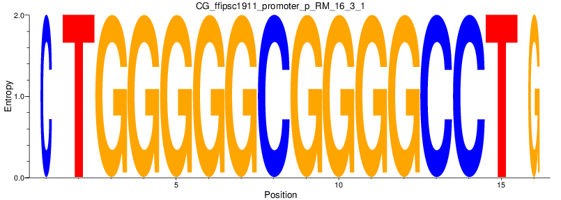 CG_ffipsc1911_promoter_p_RM_16_3_1