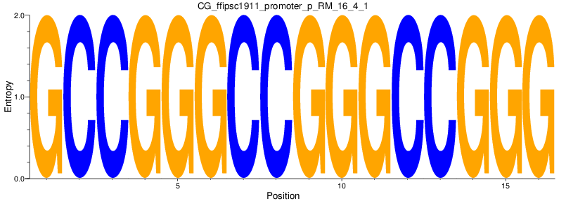 CG_ffipsc1911_promoter_p_RM_16_4_1
