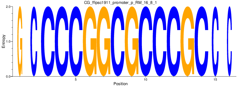 CG_ffipsc1911_promoter_p_RM_16_8_1