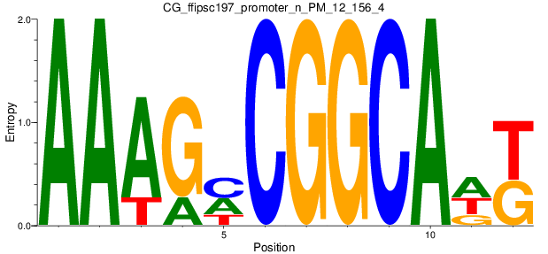 CG_ffipsc197_promoter_n_PM_12_156_4
