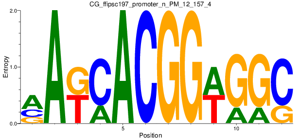 CG_ffipsc197_promoter_n_PM_12_157_4