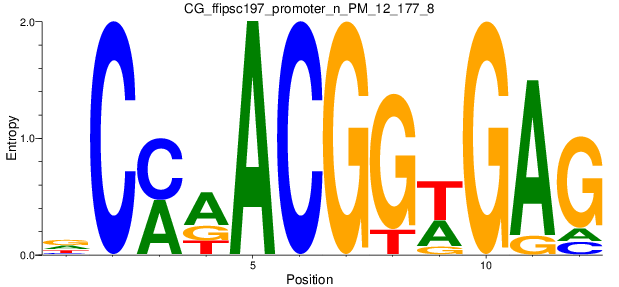 CG_ffipsc197_promoter_n_PM_12_177_8