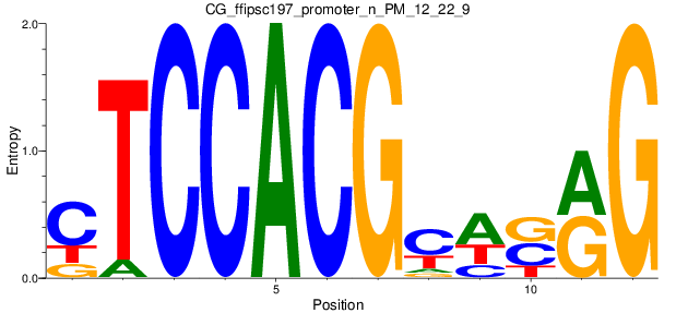 CG_ffipsc197_promoter_n_PM_12_22_9