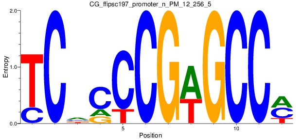 CG_ffipsc197_promoter_n_PM_12_256_5